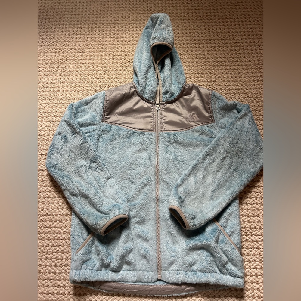 The North Face Light Blue and Gray Jacket